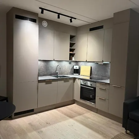 Apartment Ny Naer Sentrum