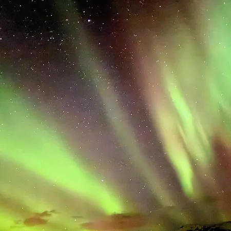 Koselig Naert Sentrum Apartment