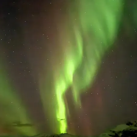 Koselig Naert Sentrum Appartement